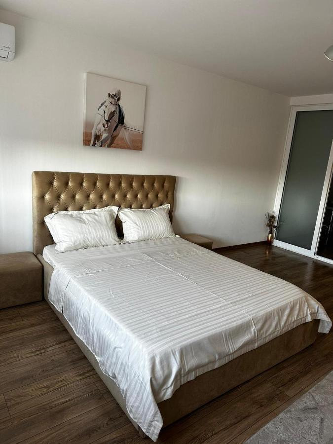 Anastasia Apartament Apartment Oradea Exterior photo